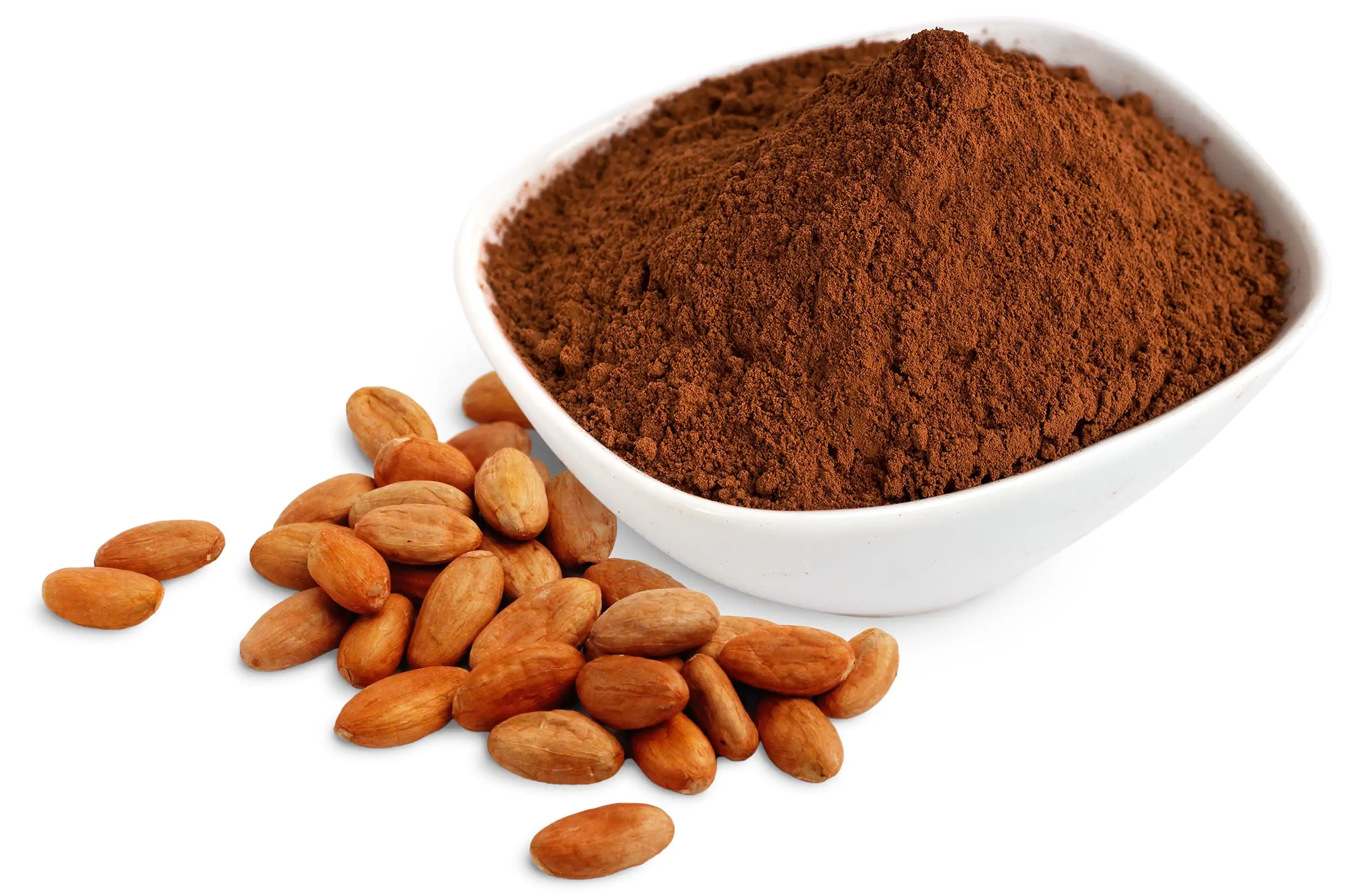 RAW CACAO PODER / COCOA POWDER ( WHATSAPP : +84-907 377 828 )