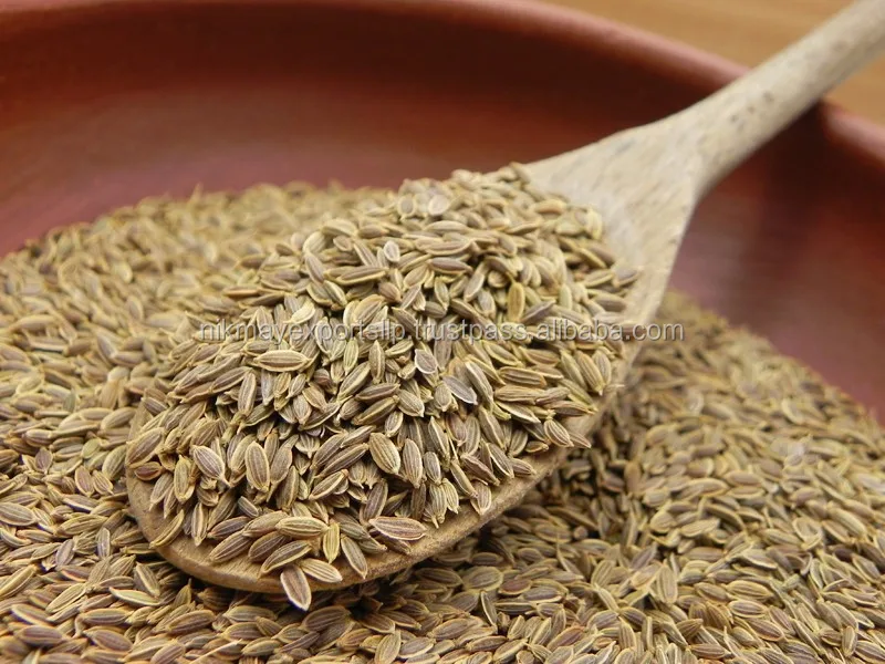 
FRESH DILL SEEDS ORIGIN INDIA FROM NIK-MAY EXPORTS 