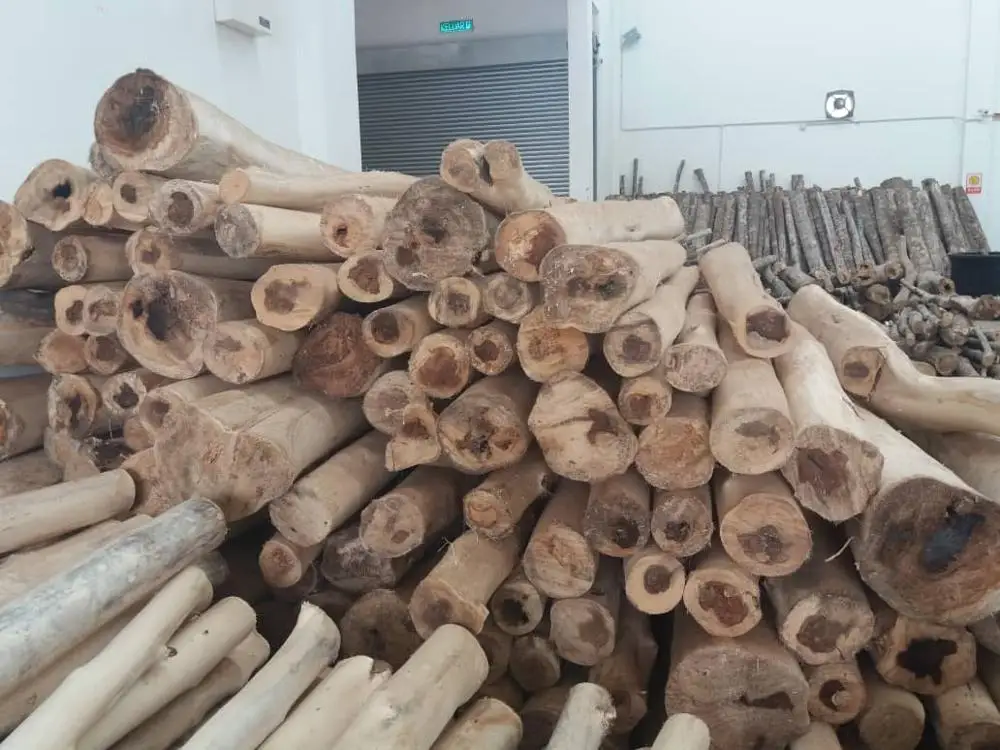 
Skin Removed High Quality Pure Agar_wood Wood Logs Malaysia Made 