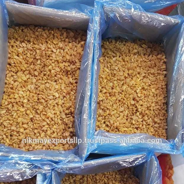 Изюм качество SANGLI Золотой Круглый происхождение Индия от NIK-MAY EXPORTS LLP