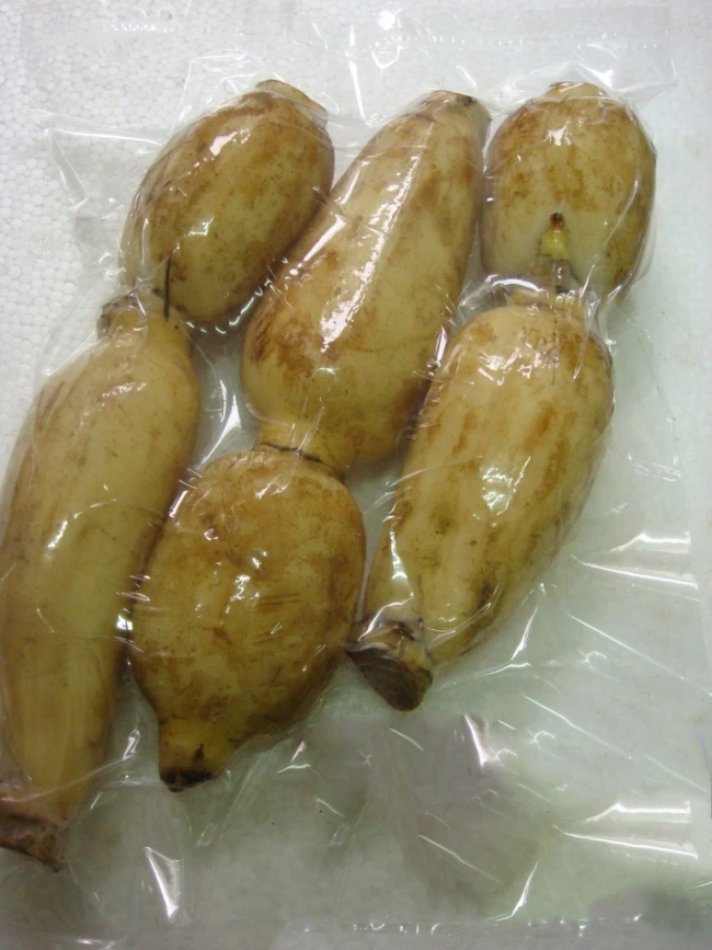 Frozen lotus whole Sliced Cheapest price/ HOLIDAY