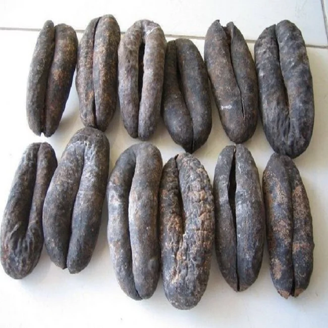 vietnam dried sea cucumber