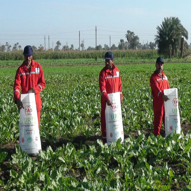 
urea 46% 