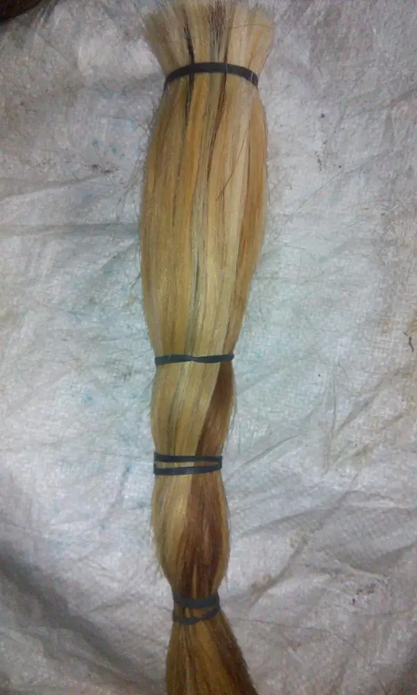 High quality black natural clean washed cow cattle hair tails