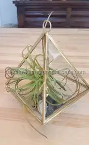 TERRARIUM POT TRIANGLE SHAPE HOME DECORATIVE FLOWER PLANT TERRARIUM FANCY DESIGN PLANT VASES ANTIQUE COLOR METAL FLOWER POT