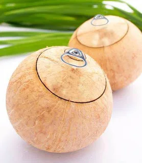 
Cheap price for Easy Open Coconut/ Fresh Young Coconut/High Quality for Coconut from Vietnam season 2019 