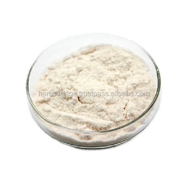 GMP/ISO Certified White Kidney Beans Extract Powder