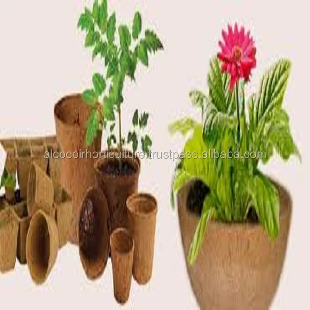 coconut fiber pots for garden