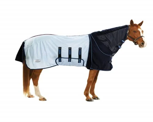 Horse Rugs/Blue Towelling Horse Rug