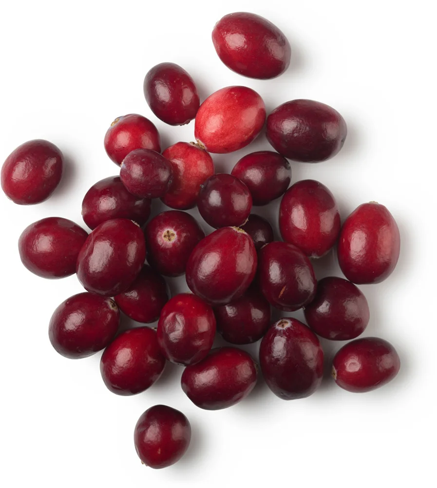 Top Quality Organic Cranberry Seeds Oil at Bulk Price