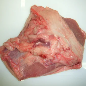 FROZEN BEEF MEAT PORK HALF CARCASS FOR SALE