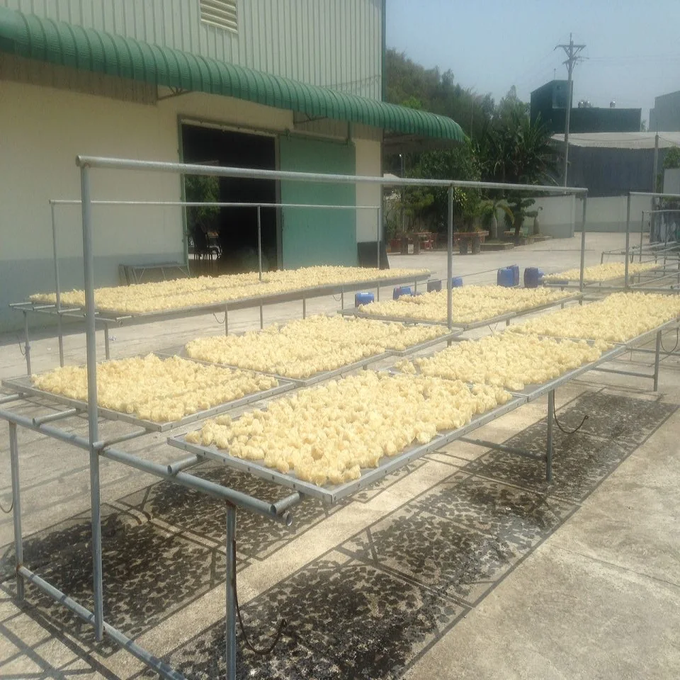 
Bulk Sun-Dried Fish Piece from Vietnam Fish Fillet with HACCP Certification and 24 Months Shelf Life 