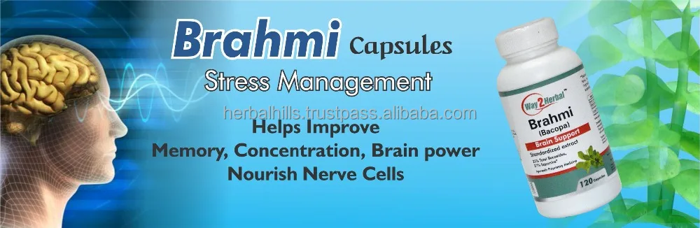 
Way2herbal Brahmi / Bacopa capsule, 300 mg , 120 count- Ayurvedic Stress, Brain & hair care supplement 