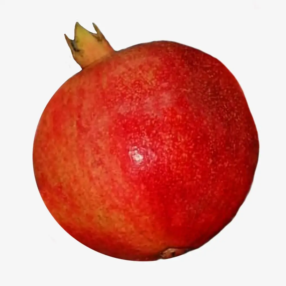 Свежий ранний 116 Египетский гранат лучшее качество индивидуальная этикетка в наличии