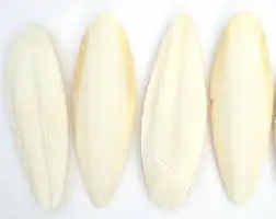 
Cuttle Fish Bone/ Cuttlefish Bone/Squid Bone For Producing Medicine (Ms Phoebe) 