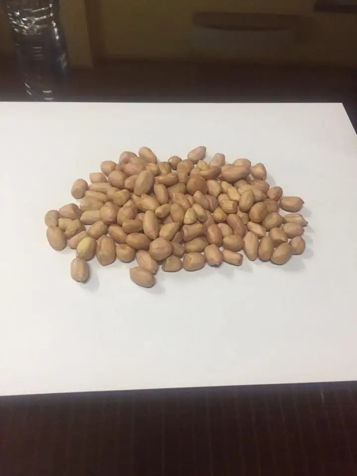 
Good quality peanut from Viet Nam for sale 
