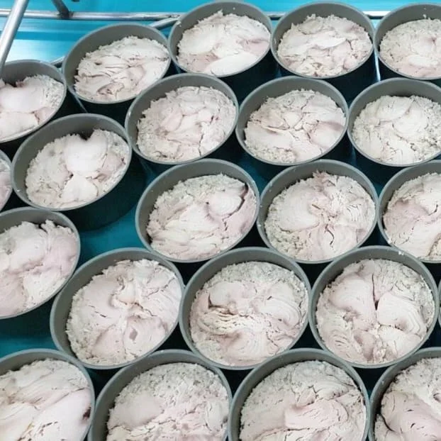 CANNED TUNA IN OIL