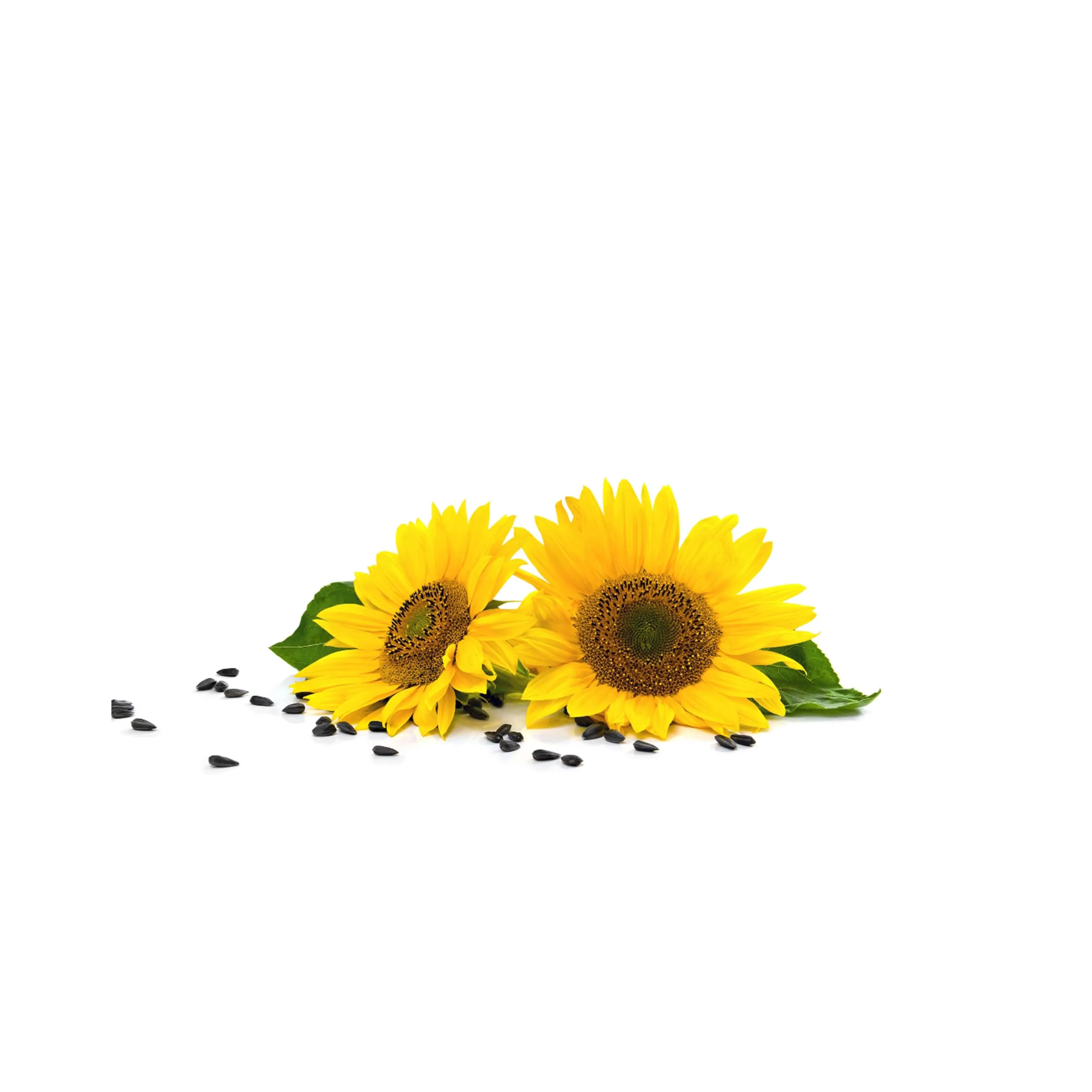 
Premium Quality 100% Refined Sunflower Seed Oil - Bulk Sale from Morocco 