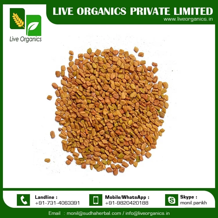 
Fenugreek Seeds from India 