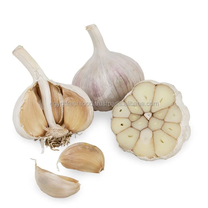 
Fresh White Garlic , Purple Garlic for sale ready to export from Egypt season 2020 