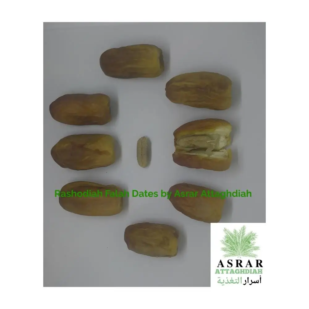 
Rashodiah Dates | 100% Premium Natural Saudi Dates 
