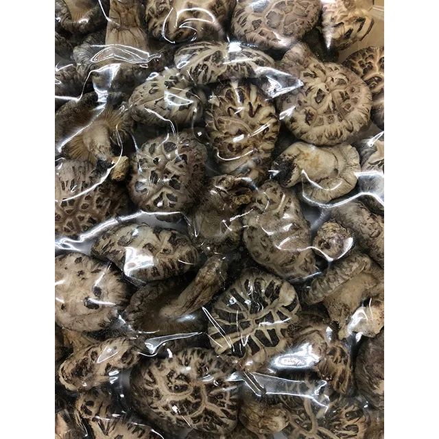 
Dried M size White flower donko-shiitake for longevity secret 