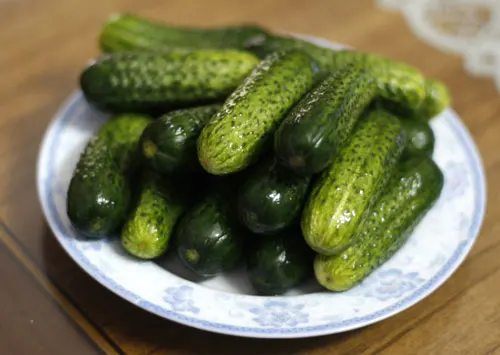 
LACTO-FERMENTED PICKLES/ CANNED DILL PICKLE RECIPE/ HEALTHY PICKLES 