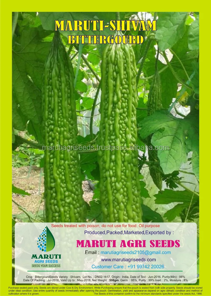 
BITTERGOURD SEED MARUTI ABHISHEK F1 HY (VEGETABLE SEED) 