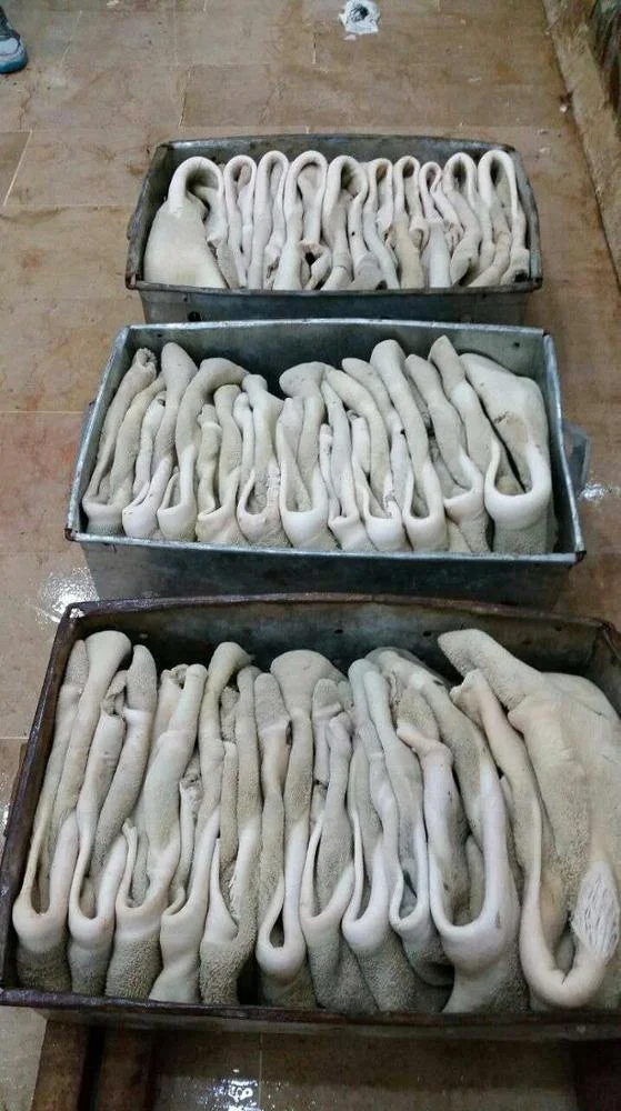 Beef Tripe / Frozen Halal Beef tripe