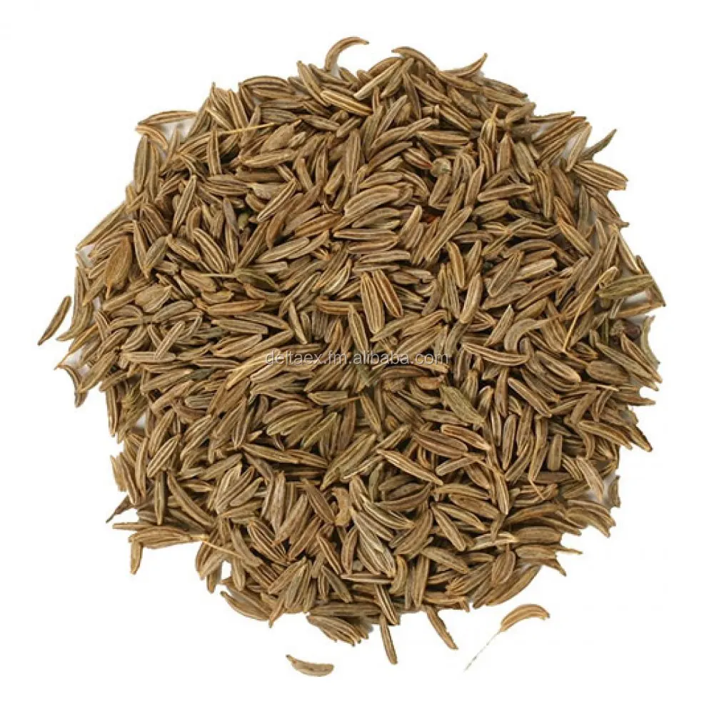 Wholesale Pure Good Quality And Natural Caraway Seeds -caraway seeds