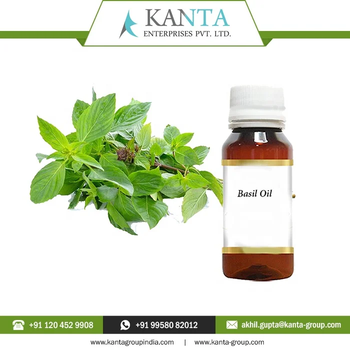100% Pure and Natural Basil Essential Oil Reducing disease-causing inflammation Low Price from India