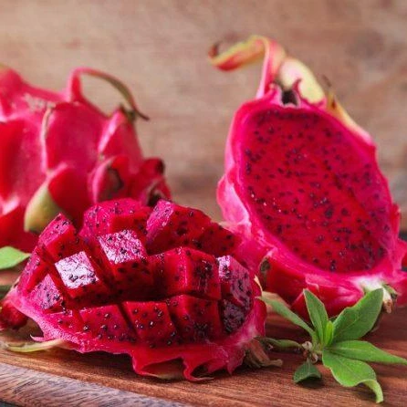 Свежий фрукт дракона из Вьетнама высокого качества