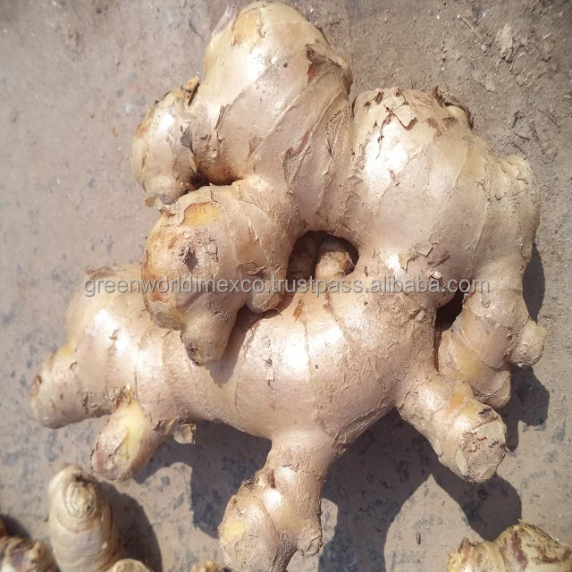 Оптовая продажа-свежий имбирь из Вьетнама