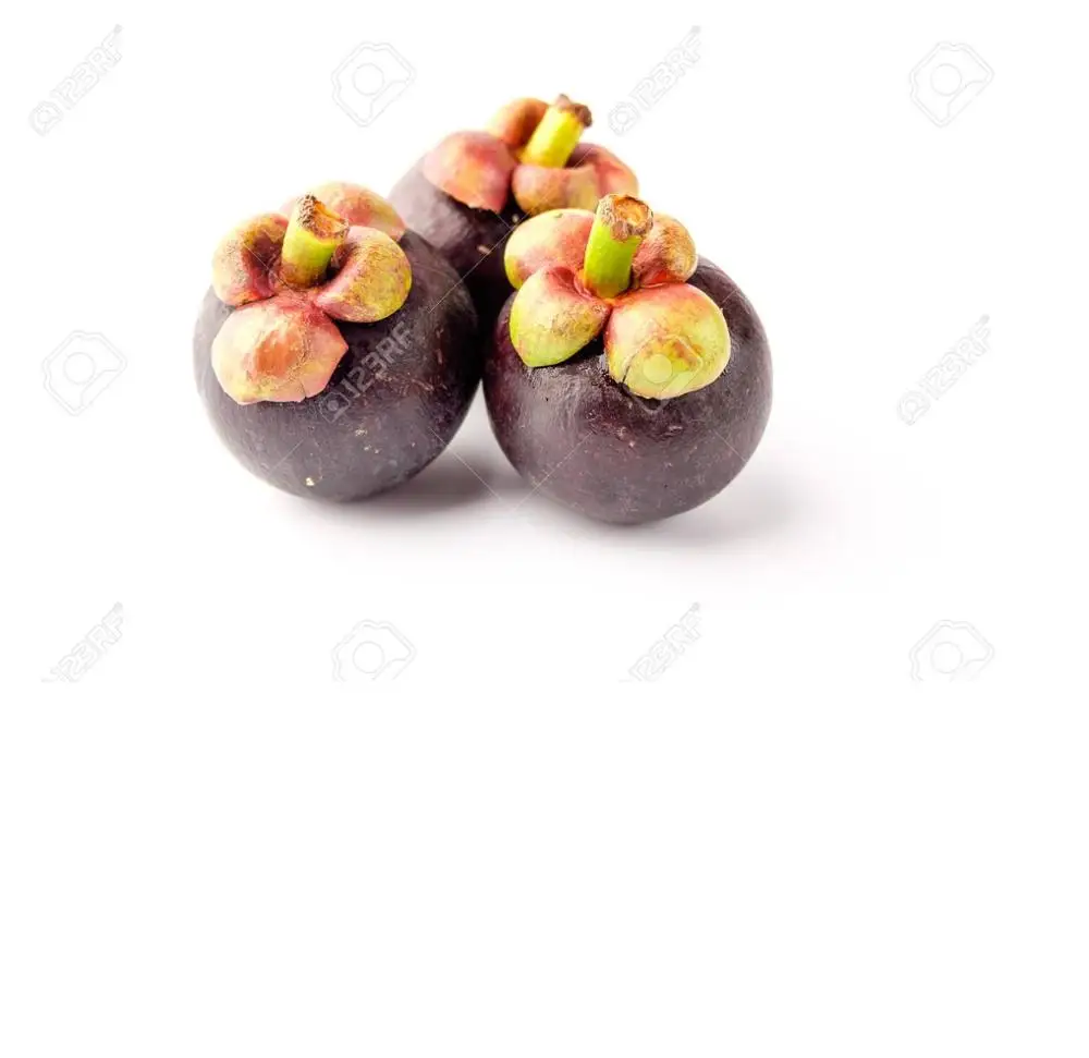 Свежий мангостин из Вьетнама/Высокое качество/сладкий/Whatsapp + 0084 845639639