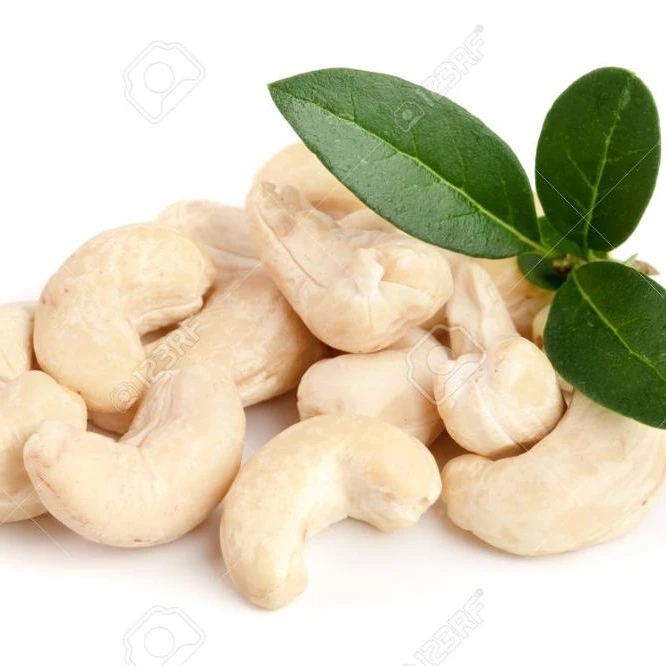 Белый орех кешью из Вьетнама