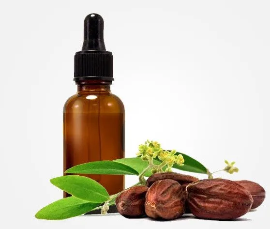 Jojoba Oil in Bulk for Sale
