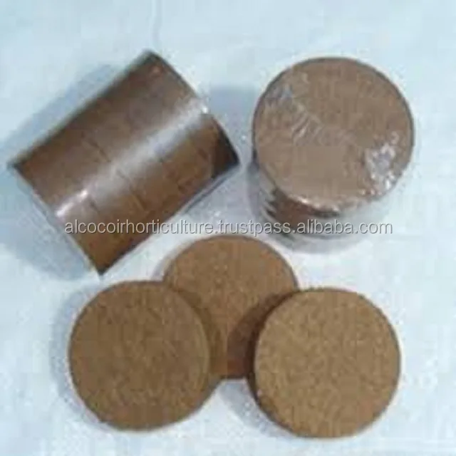 Koko plug for Greenhouse