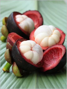 
GOOD MANGOSTEEN for SALE with High quality from VIETNAM 2021 