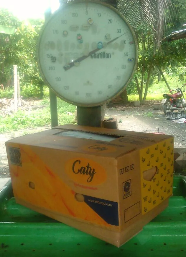 Бананы премиум-класса