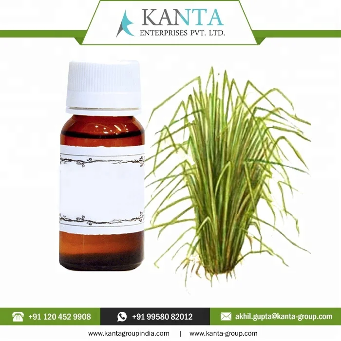 Чистый и натуральный основной эфирное масло Vetiver цена