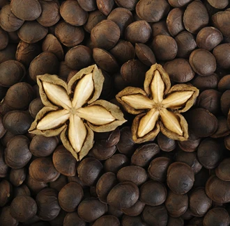 BEST QUALITY CHEAP PRICE SACHA INCHI GROWN IN VIETNAM