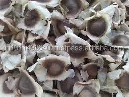 Семена Моринги в упаковке 1 кг