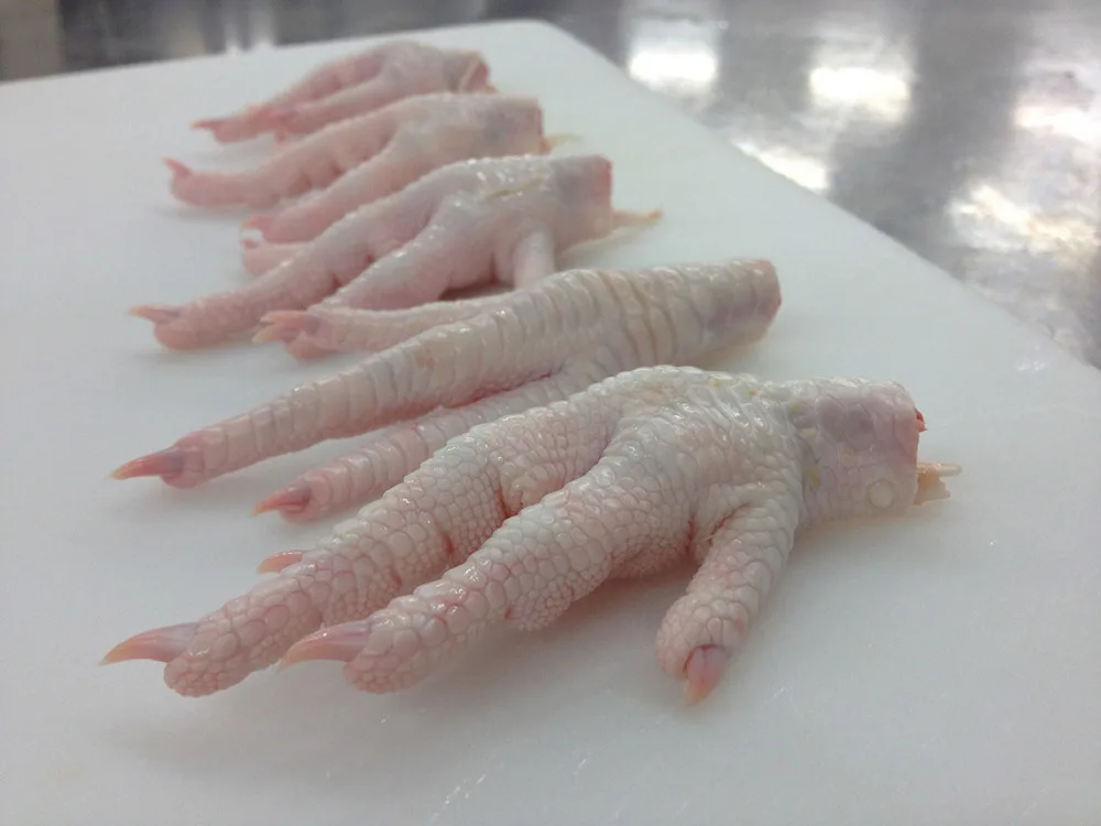WHOLE FROZEN CHICKEN AND CHICKEN PARTS FROM EUROPE