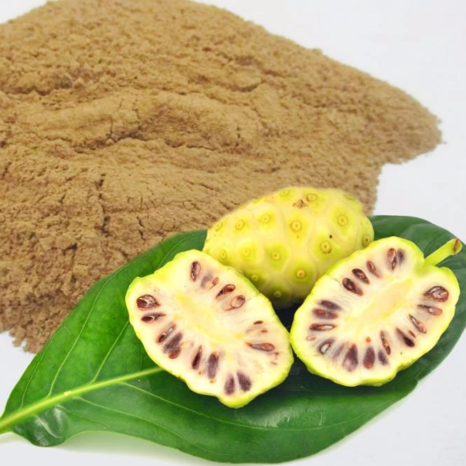 High Quality 100% Natural Noni Extract , Noni Powder (Sarah. Ms)