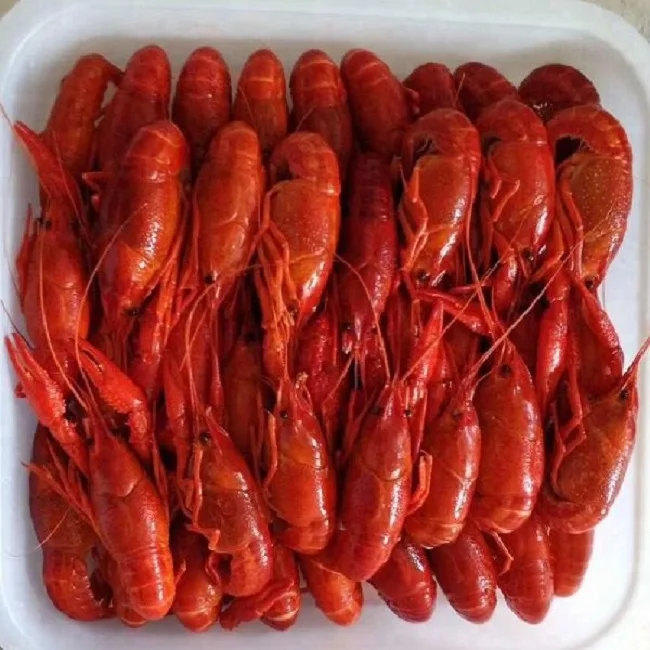 Качественный замороженный ползунки, приготовленный весь круг/замороженный, необработанный канадский Лобстер