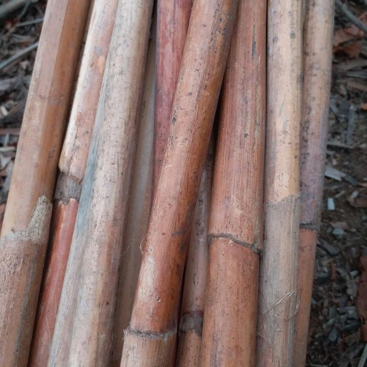 RAW RATTAN POLES