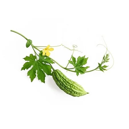 Peru Balsam Oil 100% Natural for Body Massage & Aromatherapy Premium Grade Essential Oil Organization