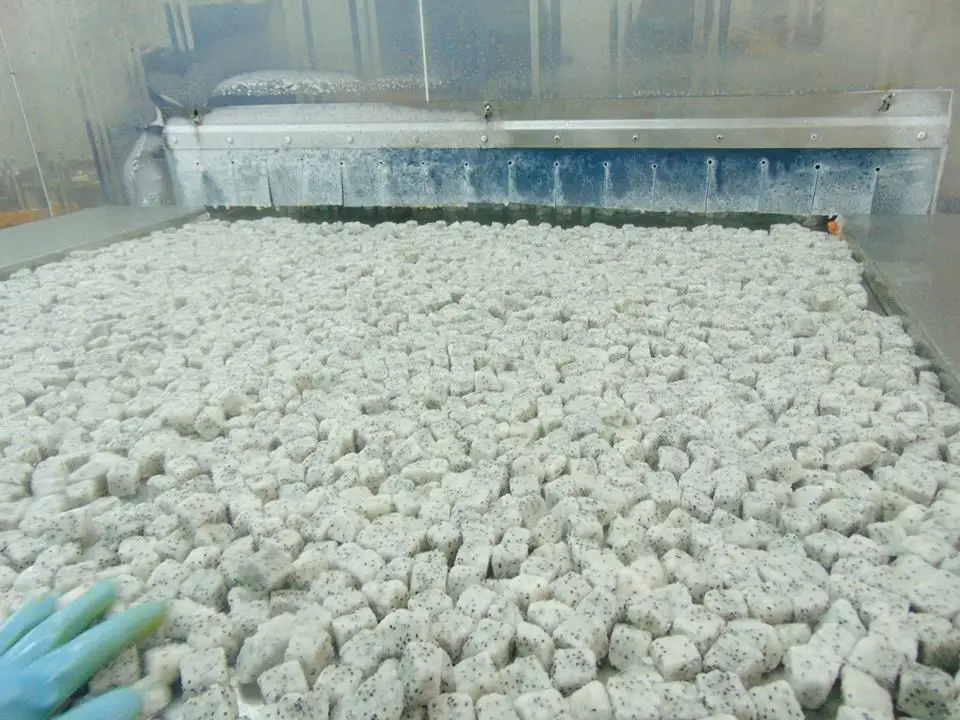 Замороженный красный/белый куб фруктов дракона IQF, импортированный из целлюлозы Стандартный // Маргаритка Ms