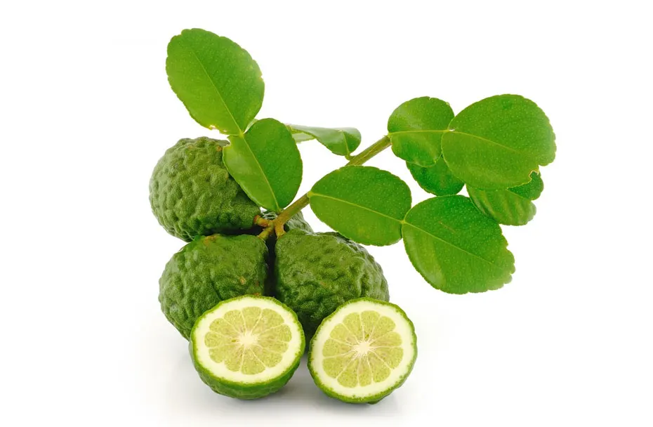 
Dried Kaffir Lime Leaves Powder 100% Natural Product of Thailand 