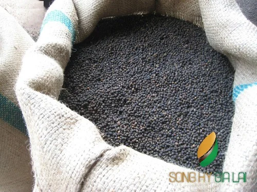  Черный перец 550 г/л очистка из Вьетнама